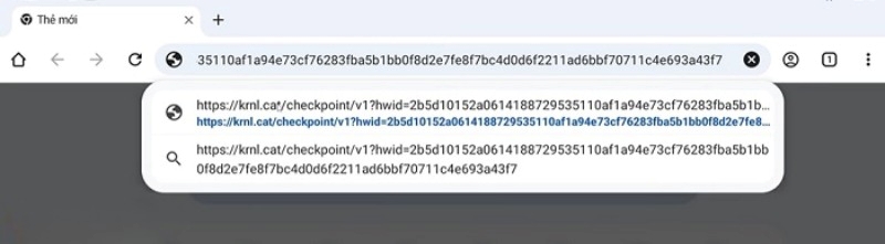 Dán link vừa copy để truy cập trang lấy Key.