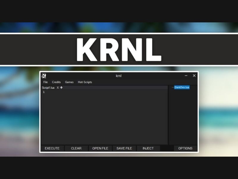 Giới Thiệu Về Krnl VNG Executor
