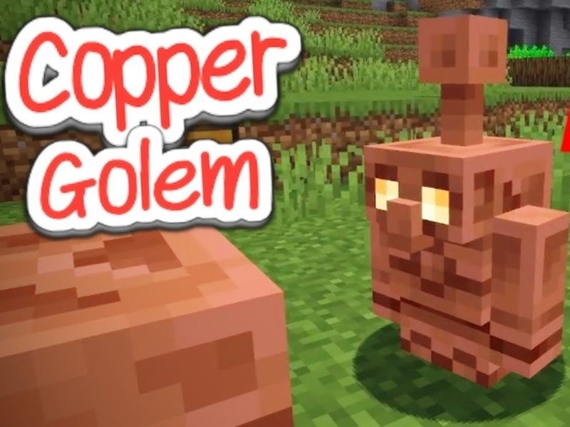Minecraft 1.21.121