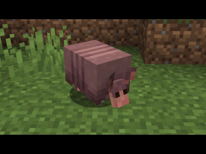 Sinh Vật Armadillo trong Minecraft 1.21