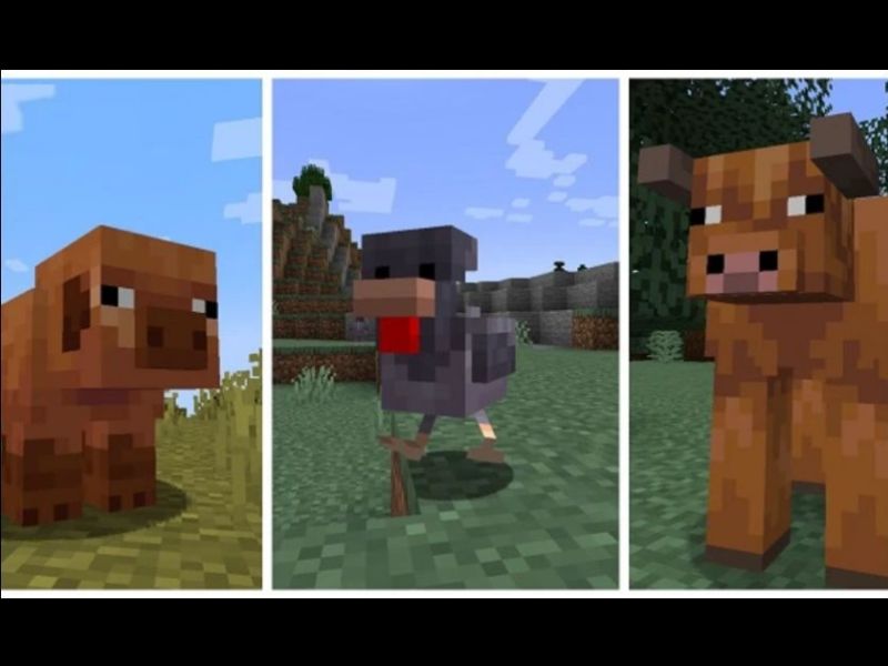 Mở rộng hệ sinh thái động vật trong Minecraft 1.21.72 APK