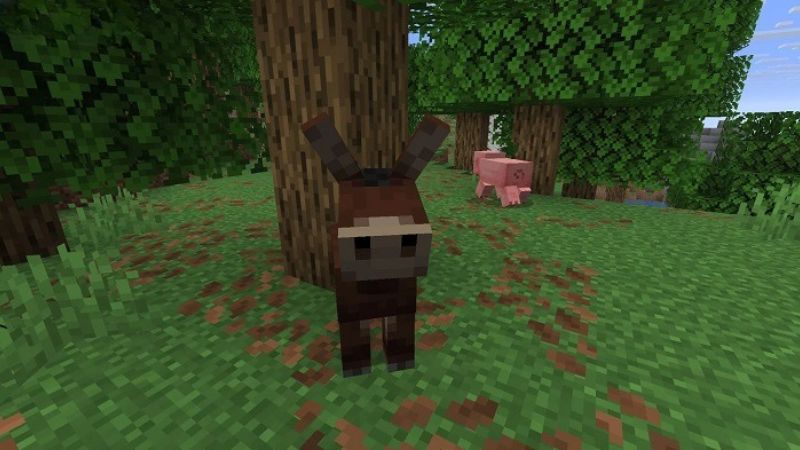 Tốc độ khung hình ổn định, giảm treo máy trong Minecraft 26.0.29 APK