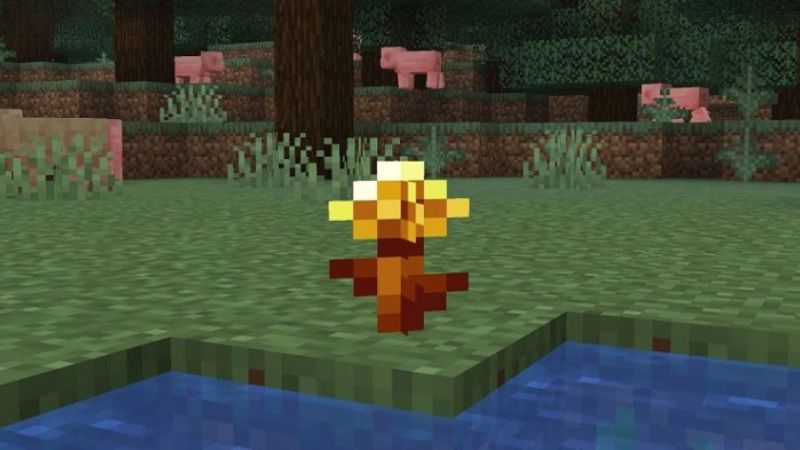 Golden Dandelion là loài hoa bồ công anh vàng trong Minecraft 26.10.24