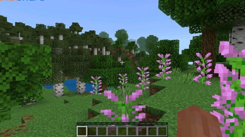Sửa lỗi vật phẩm hiển thị không chuẩn trong Minecraft 26.3 