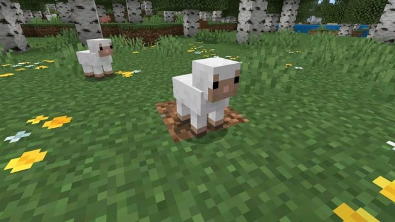 Đồ họa sắc nét với màu sắc chân thực trong Minecraft 26.3 