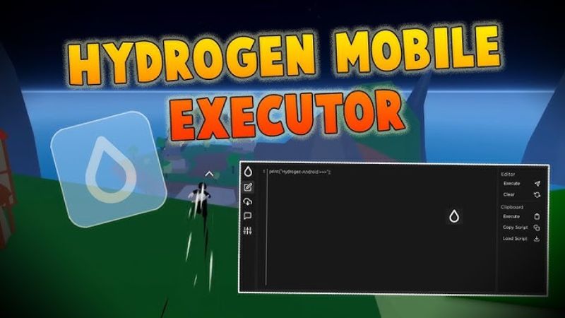 Hydrogen Executor